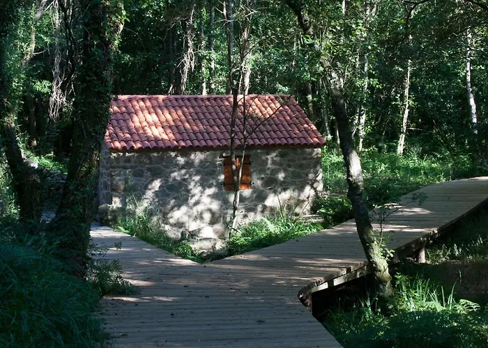 Sol-muxia דירה מוחיה